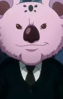Koala